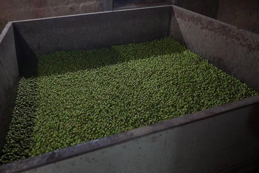 Cardamom Casa Plantation Villa Munnar